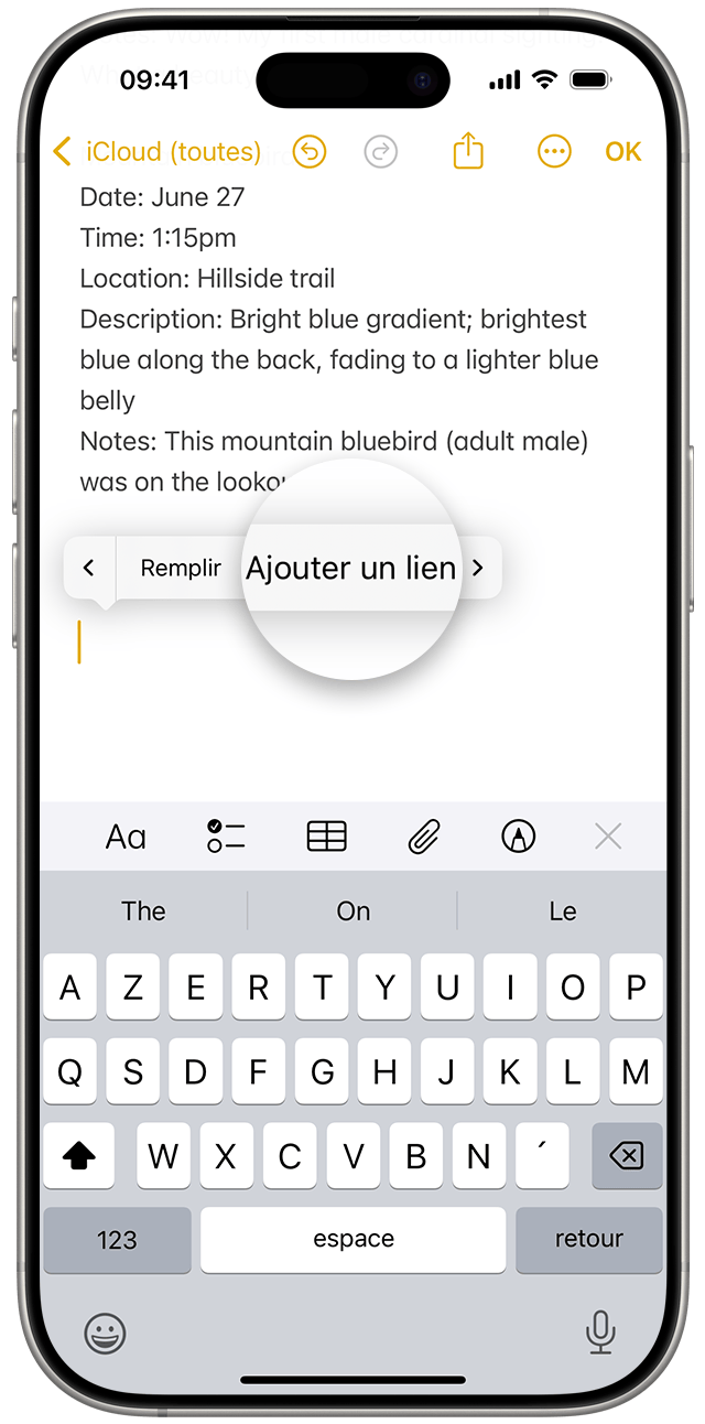 Pour ajouter un lien dans Notes sous iOS 18, touchez l’espace vide de façon prolongée ou mettez le texte en surbrillance pour que le menu des options s’affiche. Ensuite, touchez Ajouter un lien.