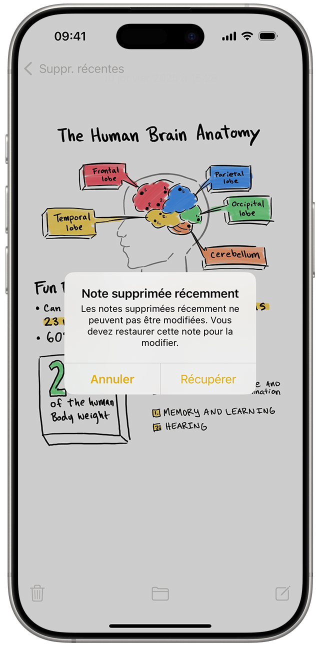 Dans la liste des dossiers de Notes, vous pouvez afficher les notes récemment supprimées, puis choisir de les récupérer.