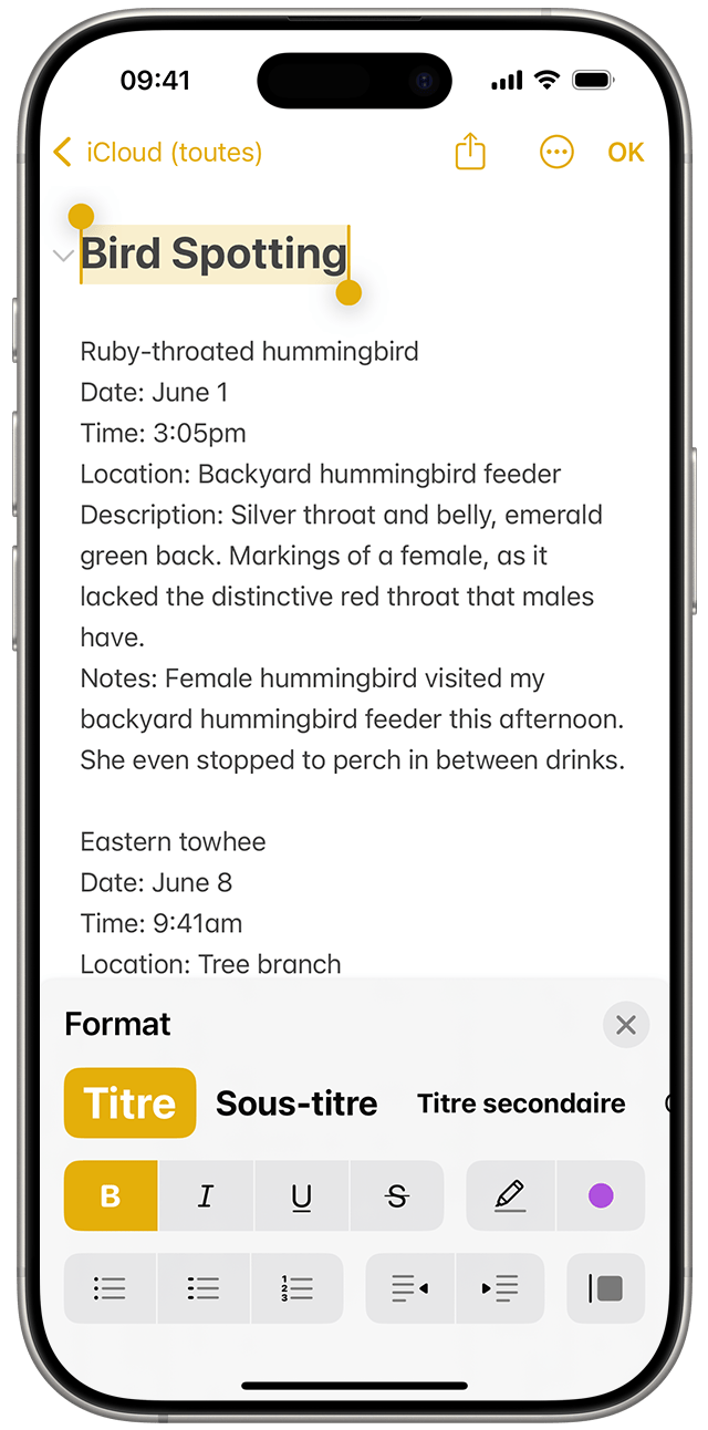 Dans Notes sous iOS 18, mettez le texte en surbrillance, puis appuyez sur le bouton Format pour afficher des options telles que l’italique ou les styles de titre.
