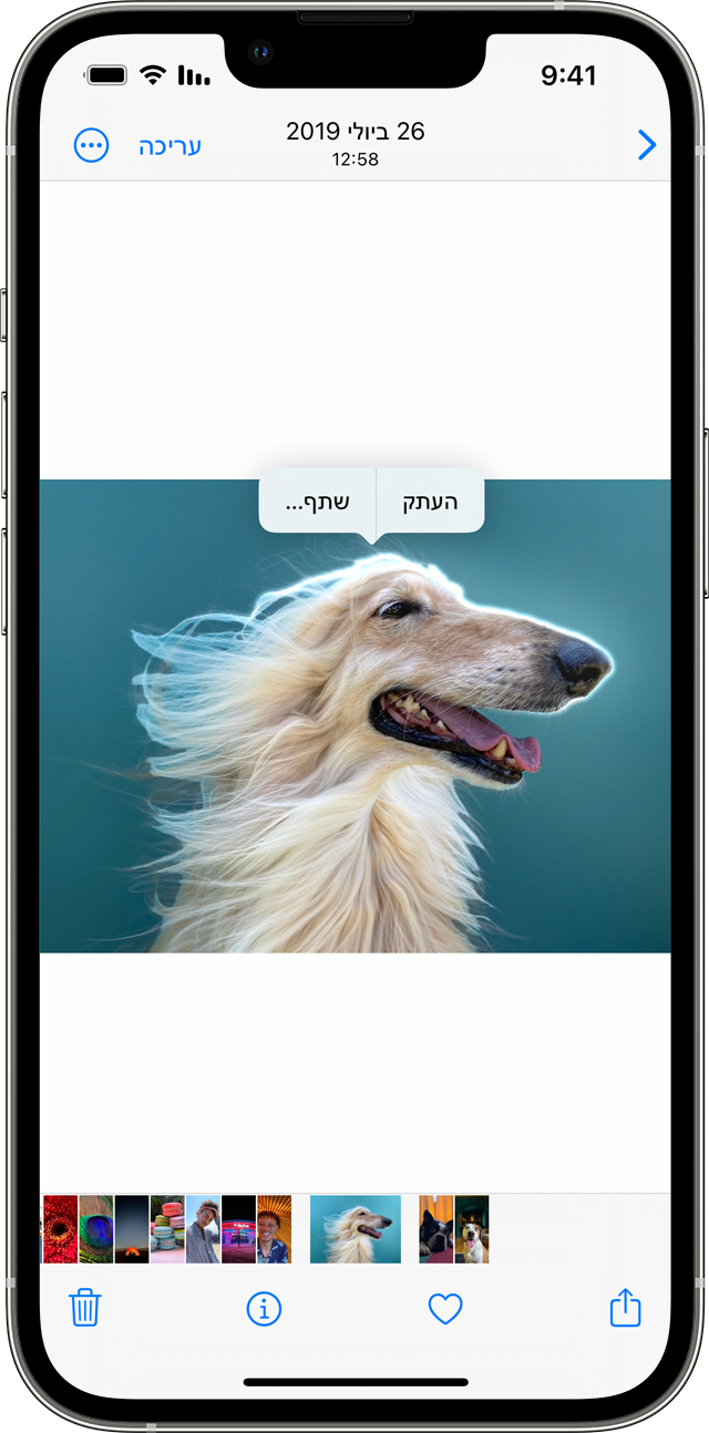 תוכלו לנגוע נגיעה ממושכת על מנת לבודד את נושא התמונות שלכם ב-iPhone עם iOS 16 ואילך.