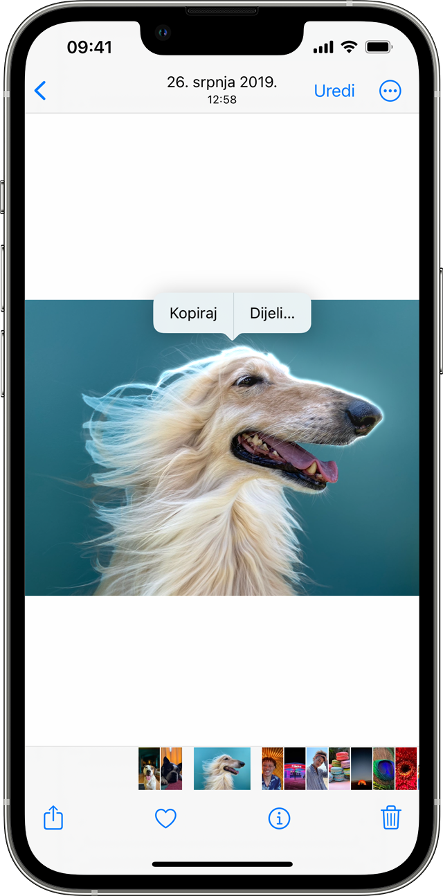 Možete dodirnuti i držati da biste izolirali predmet fotografija na iPhone uređaju sa sustavima iOS 16 i novijima.