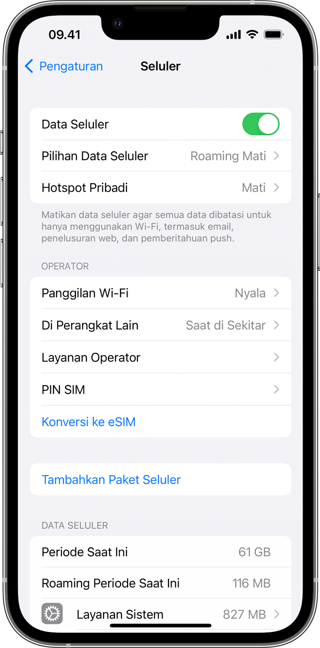Layar iPhone menampilkan pengaturan data seluler