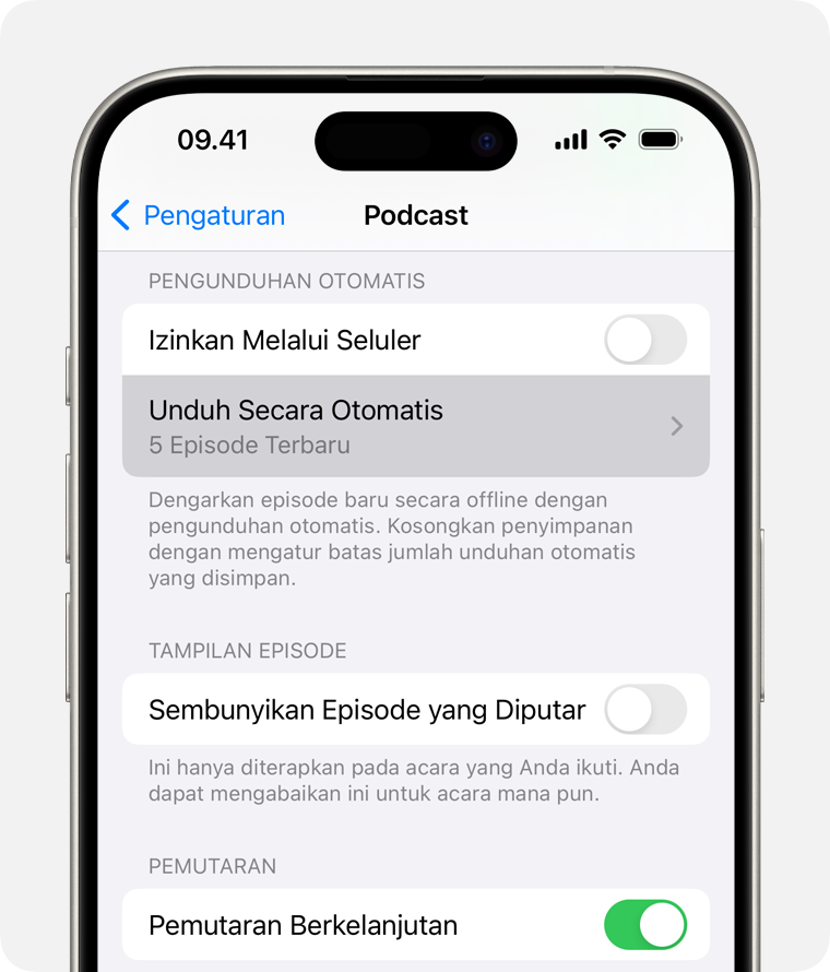 iPhone yang menampilkan pilihan Unduh Secara Otomatis di Pengaturan.