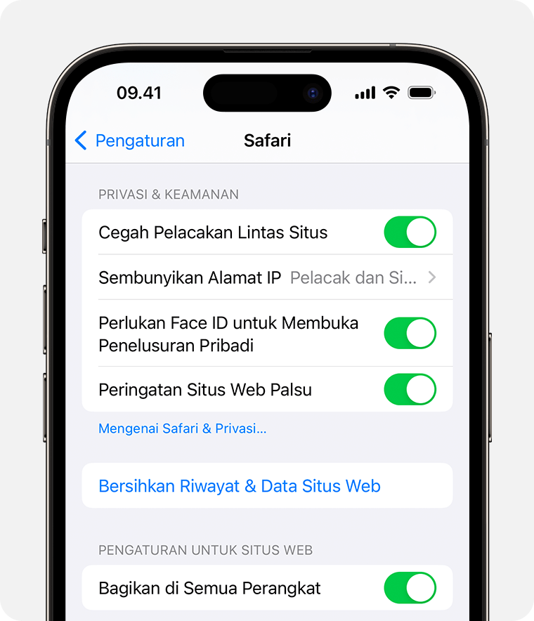 Di pengaturan Safari, Anda dapat mengatur agar perangkat mewajibkan Face ID untuk membuka jendela Penelusuran Pribadi.
