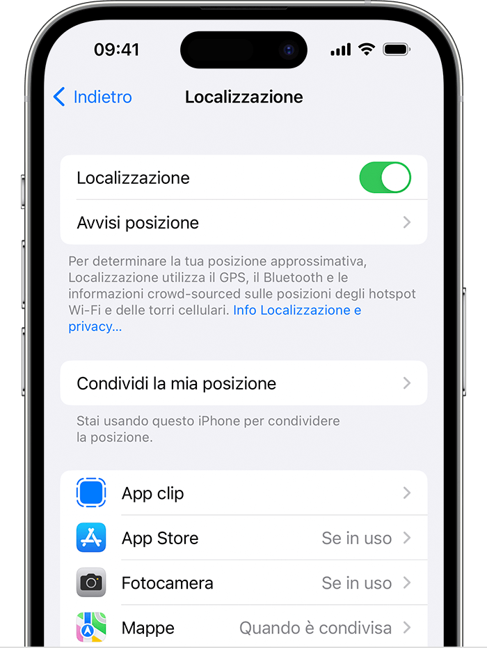 Nelle impostazioni su iOS, è possibile bloccare gli annunci basati sulla posizione.