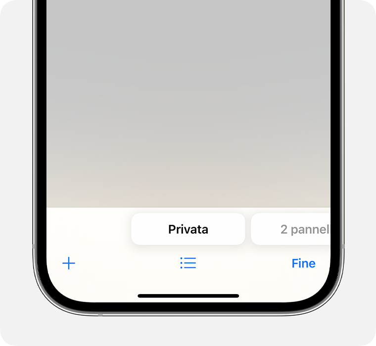 Un iPhone che mostra l'app Safari con il gruppo di pannelli privati selezionato.