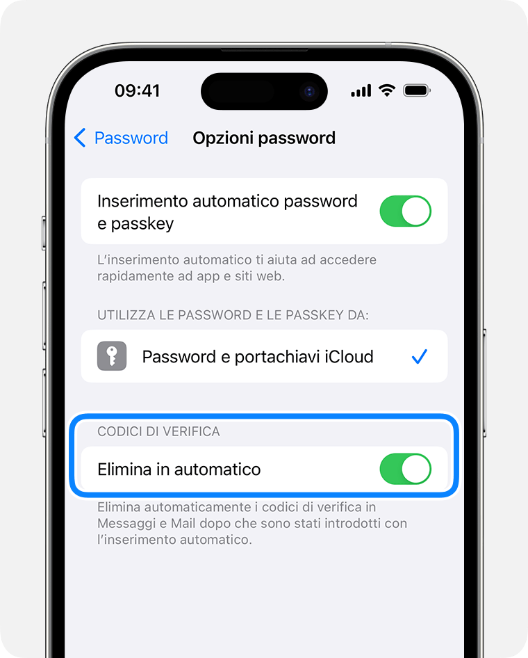 In iOS 17 e versioni successive, Messaggi può eliminare automaticamente i messaggi che contengono codici di verifica della password già utilizzati. 