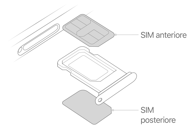 iphone-dual-sim-illustration-line-drawing