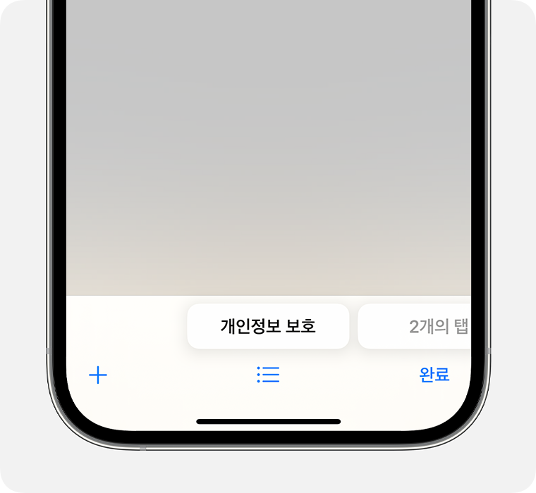 개인정보 보호 탭 그룹이 선택된 Safari 앱을 보여주는 iPhone.