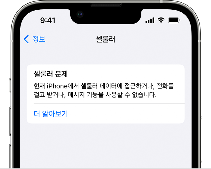 iOS 15이 설치된 iPhone 13 Pro의 설정 셀룰러 문제