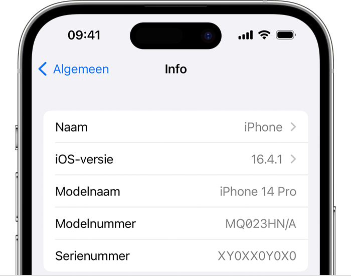 Het scherm 'Info' op een iPhone.