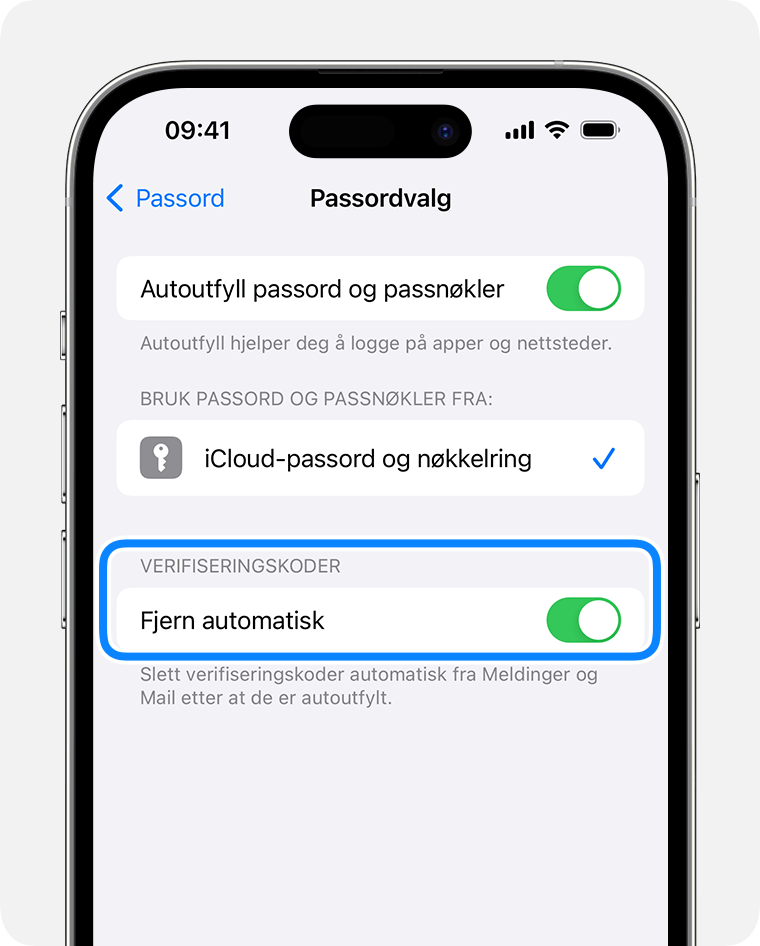 I iOS 17 og nyere kan Meldinger automatisk slette meldinger som inneholder passordverifiseringskoder når du har brukt koden. 