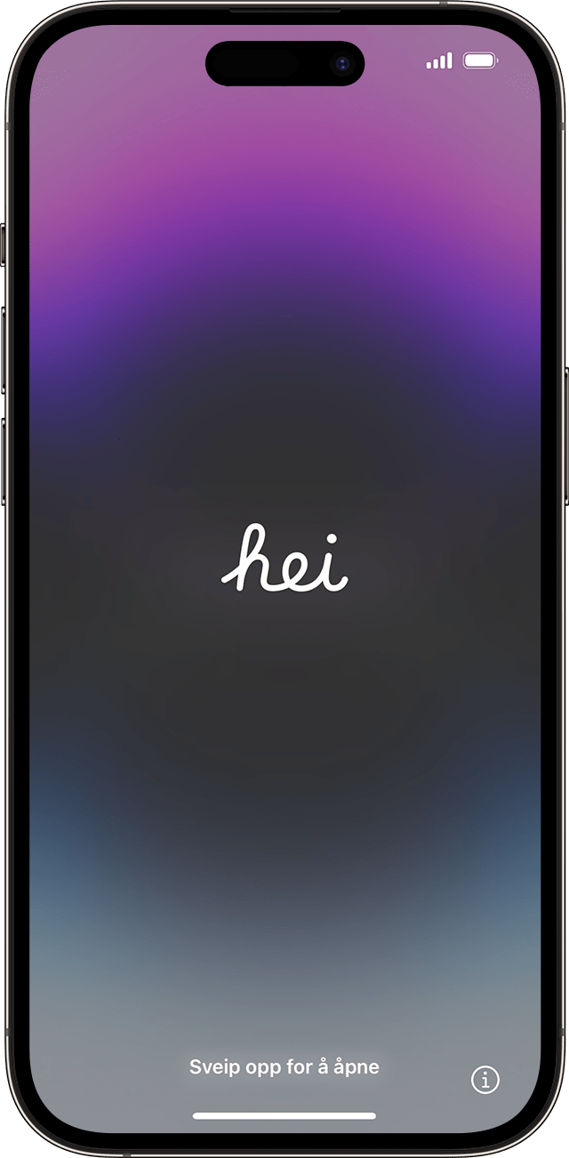 Hei-skjermen i iOS 17.