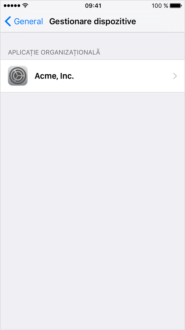  Ecran iPhone care afișează meniul Gestionare profiluri/dispozitive