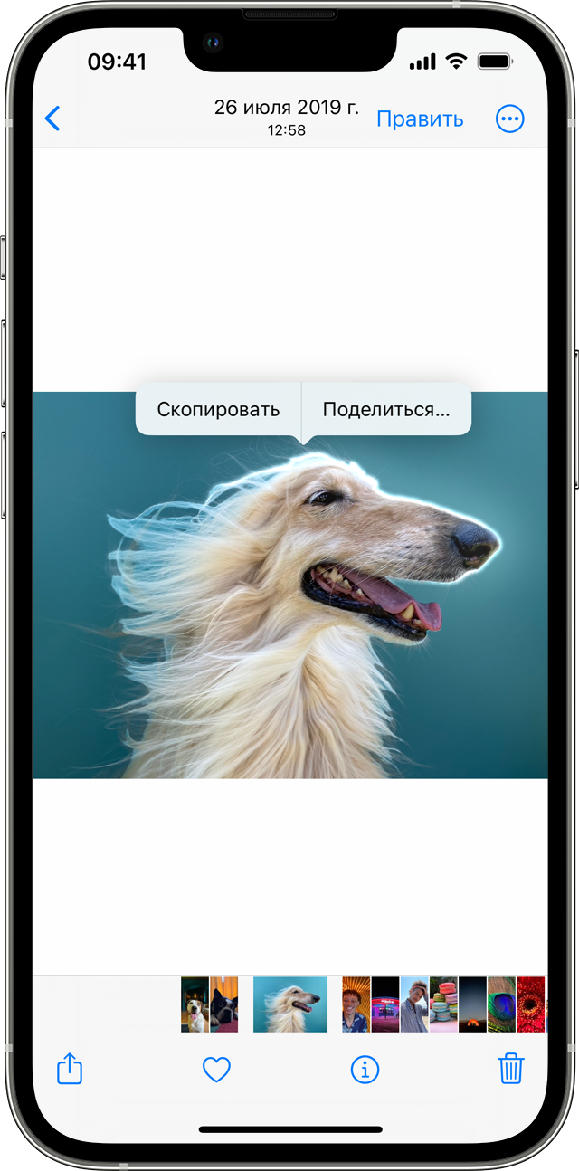 Вы можете коснуться объекта и удерживать его, чтобы отделить от остальной фотографии на iPhone с ОС iOS 16 или более поздней версии.