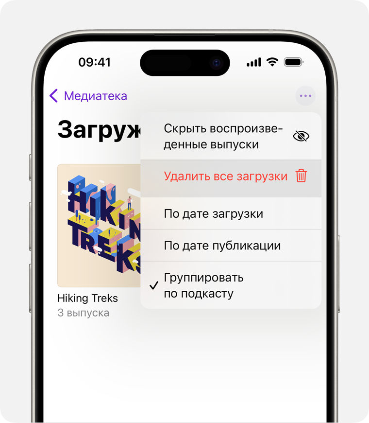 Параметр «Удалить все загрузки» на iPhone.