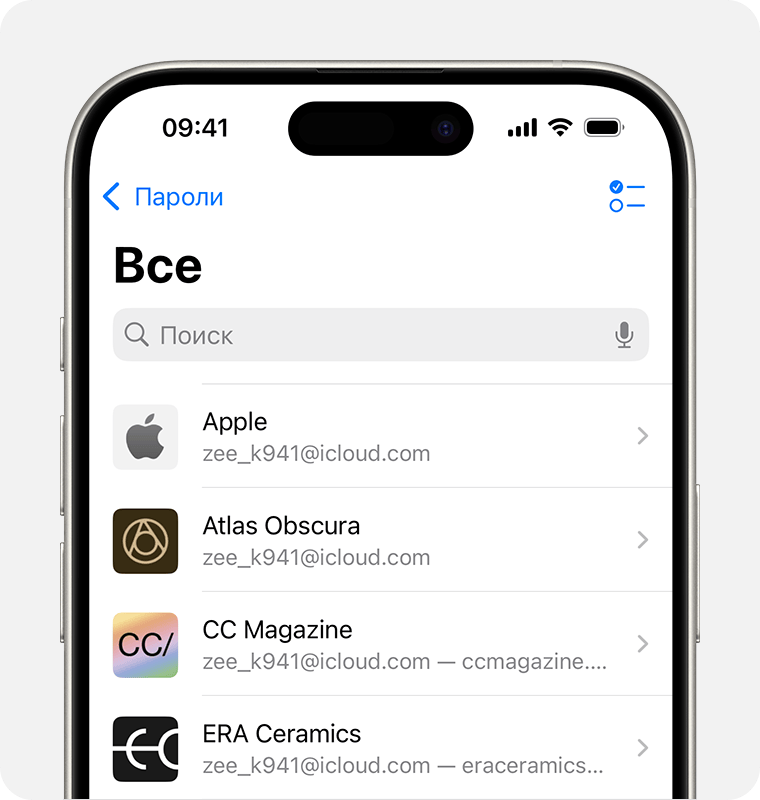 Приложение «Пароли» на iPhone.