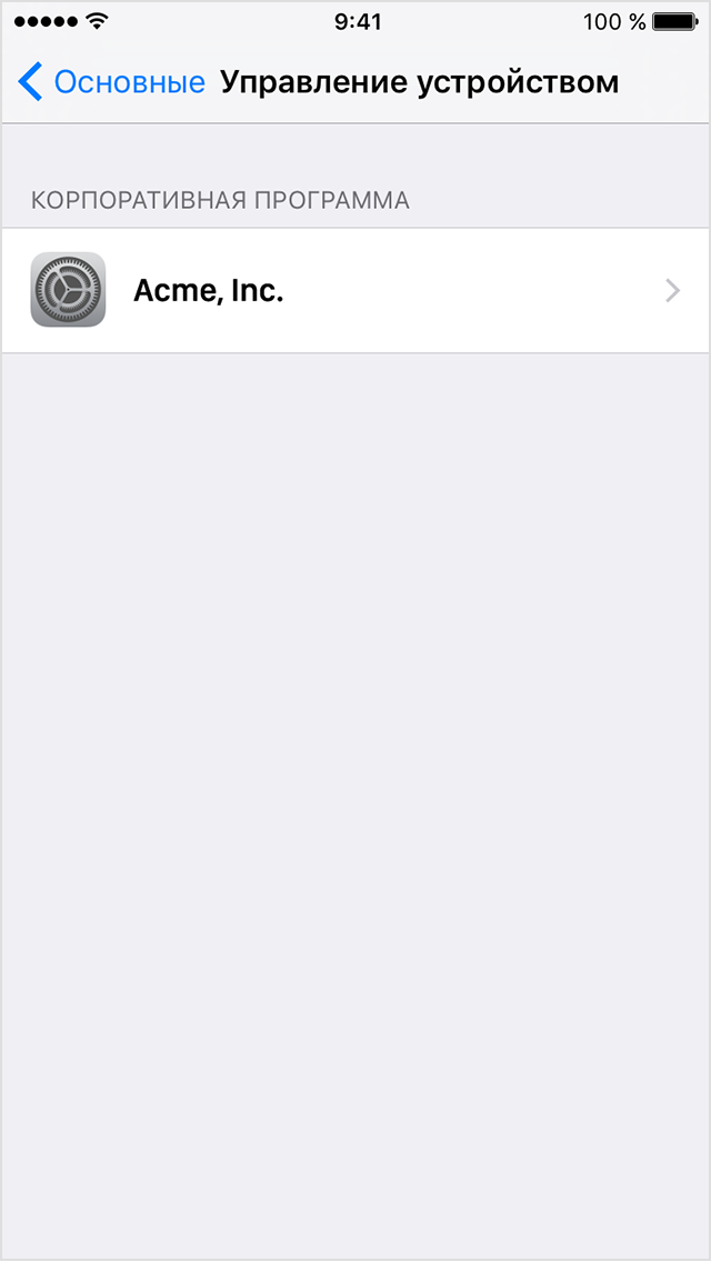  Экран iPhone, на котором открыто меню «Профили и управление устройством»