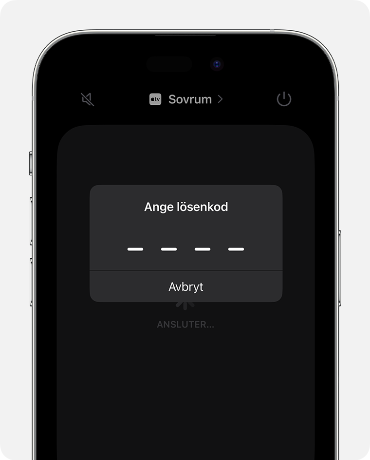 Skärmen Ange lösenkod visas på Apple TV Remote-skärmen på iPhone
