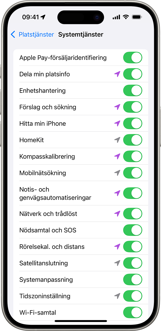 Inställningar för Systemtjänster på iPhone