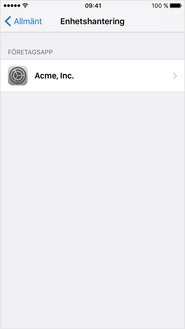  iPhone-skärm som visar menyn Profiler och enhetshantering