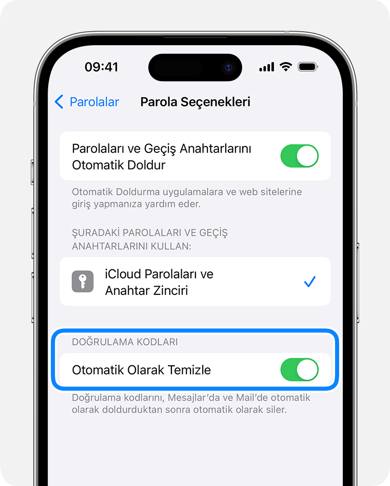 iOS 17 ve sonraki sürümlerinde Mesajlar uygulaması, parola doğrulama kodları içeren mesajları, söz konusu kod kullanıldıktan sonra otomatik olarak silebilir. 