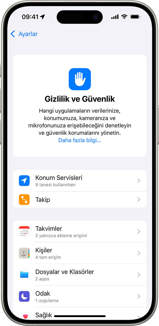 iPhone'daki Gizlilik ve Güvenlik ayarı ekranı