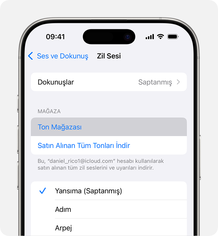 Ton Mağazası'nı gösteren iPhone ekranı.