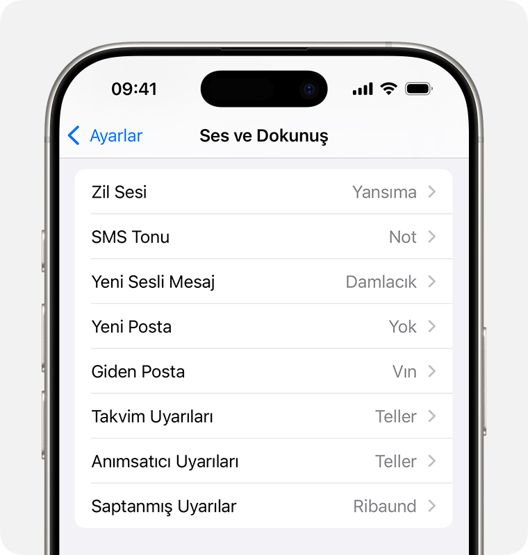 Sesleri ve dokunuşları değiştirme menüsünü görüntüleyen iPhone.