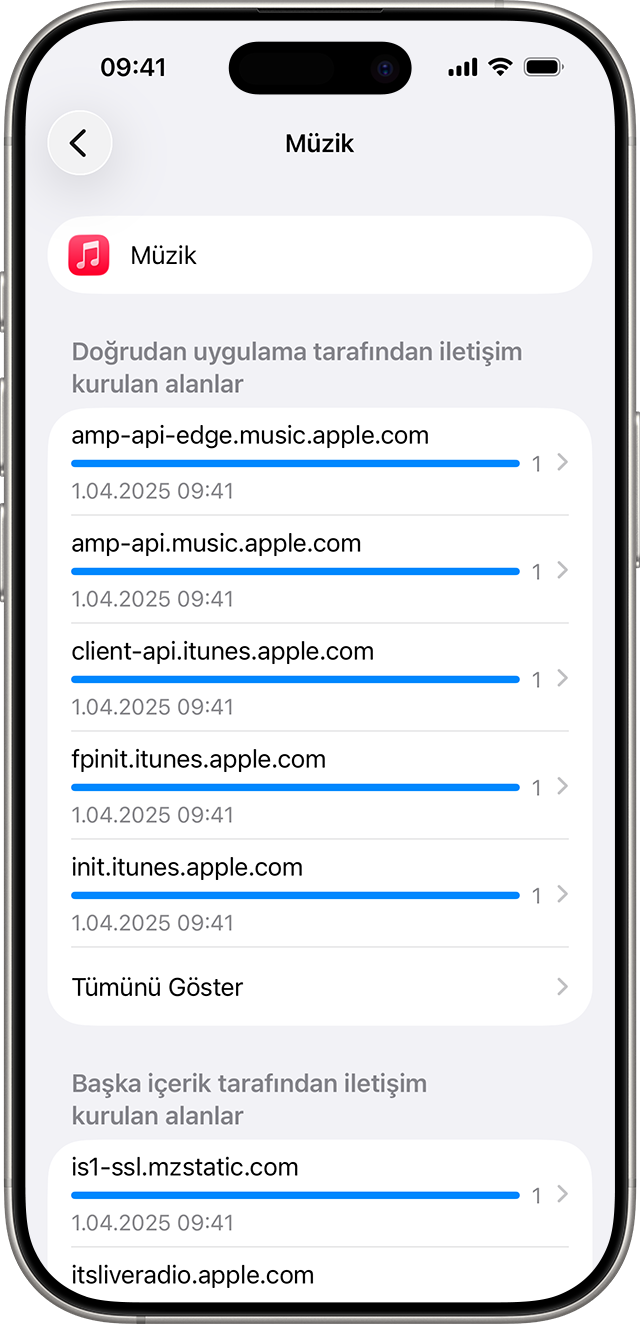 Bir uygulamanın Ağ Aktivitesi raporu.
