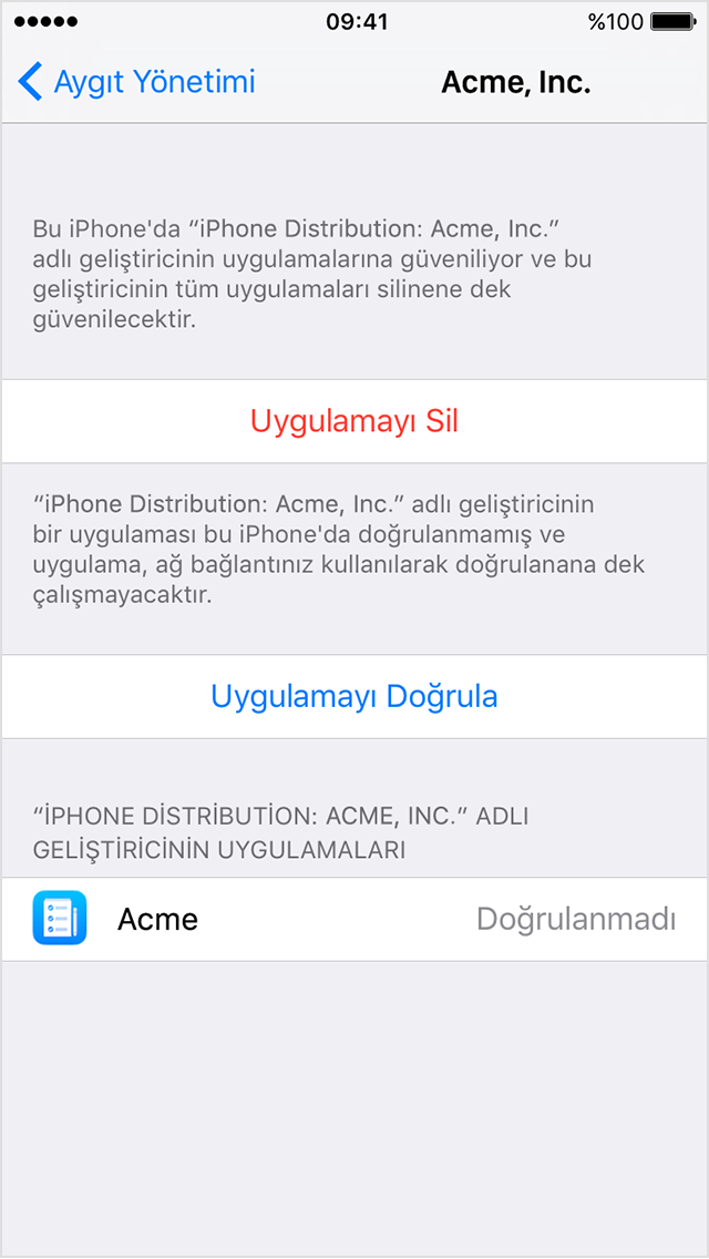  Bir Kurumsal uygulamaya güvenilmesi gerektiğini doğrulayan bir istemi gösteren iPhone ekranı