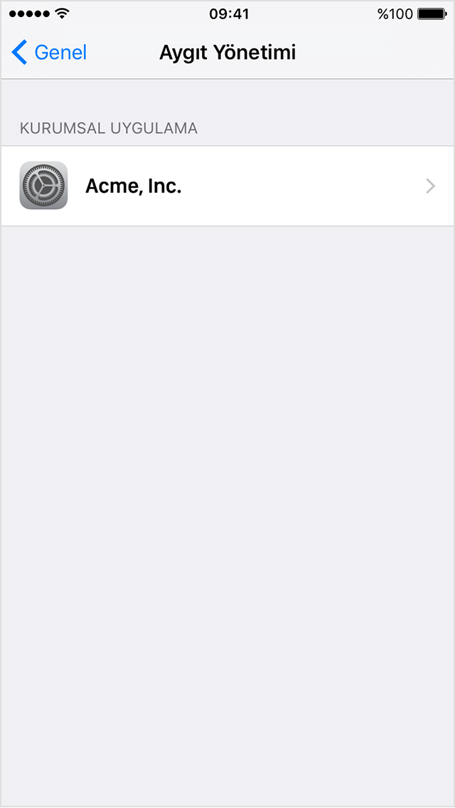  Profiller ve Aygıt Yönetimi menüsünü gösteren iPhone ekranı