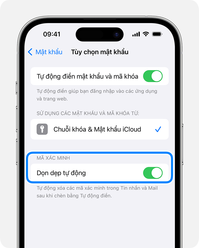 Trong iOS 17 trở về sau, ứng dụng Tin nhắn có thể tự động xóa các tin nhắn chứa mã xác minh mật khẩu sau khi bạn sử dụng mã đó. 
