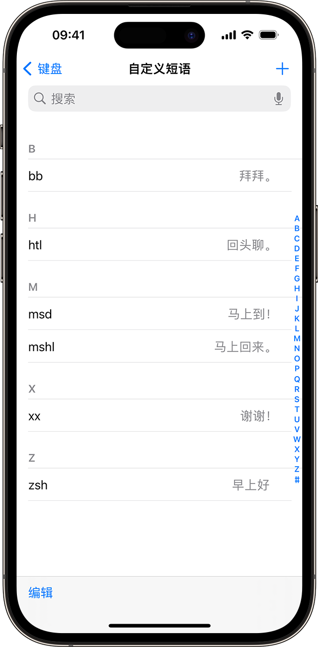 在 iPhone 上设置以供使用的文本输入码列表。