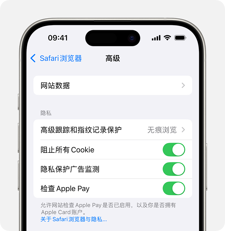 iPhone 上显示了 Safari 浏览器设置。“阻止所有 Cookie”开关已打开。