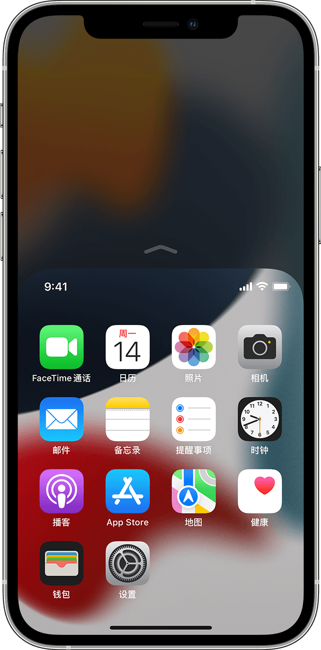 屏幕中显示正在 iPhone 12 Pro 上使用便捷访问功能