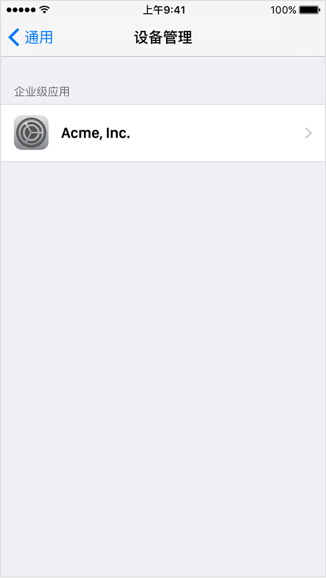 iPhone 屏幕上显示“描述文件与设备管理”菜单