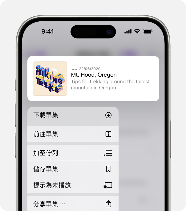 iPhone 上的「下載單集」選項。