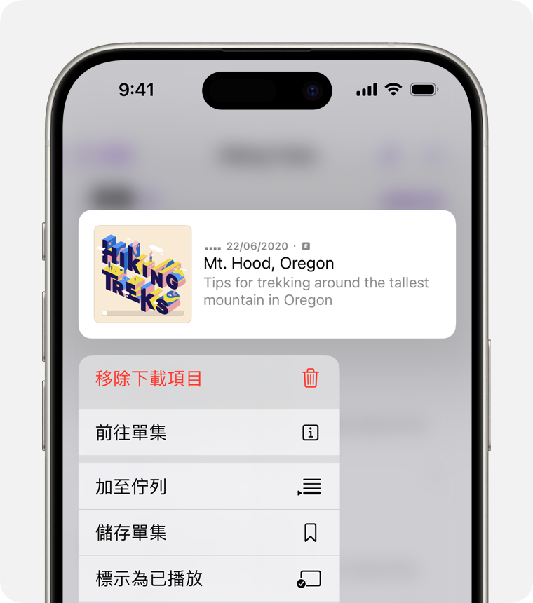 iPhone 上的「移除下載項目」選項。