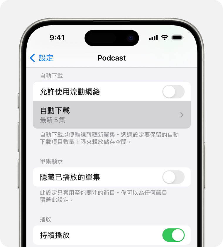 iPhone 顯示「設定」中的「自動下載」選項。