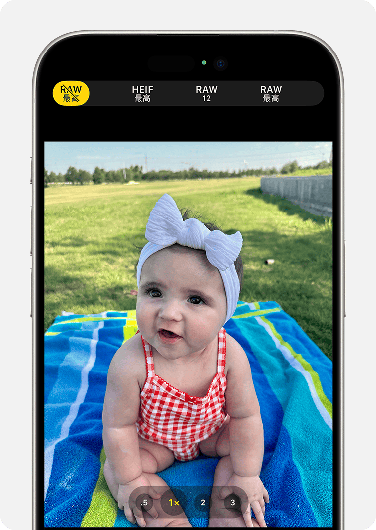「相機」app 直接提供的解像度選項包括：「HEIF 最高」、「RAW 12」和「RAW 最高」。