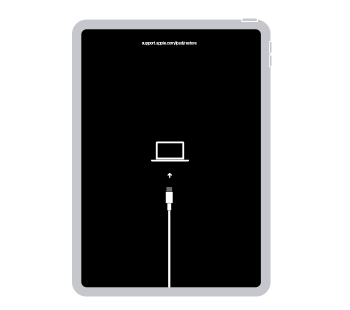 Οθόνη επαναφοράς Face ID iPad