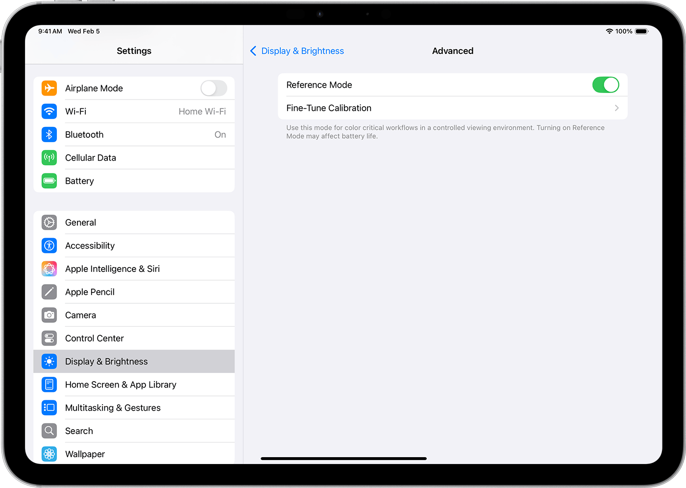 An iPad showing the Advanced Display & Brightness settings. Reference Mode is on.