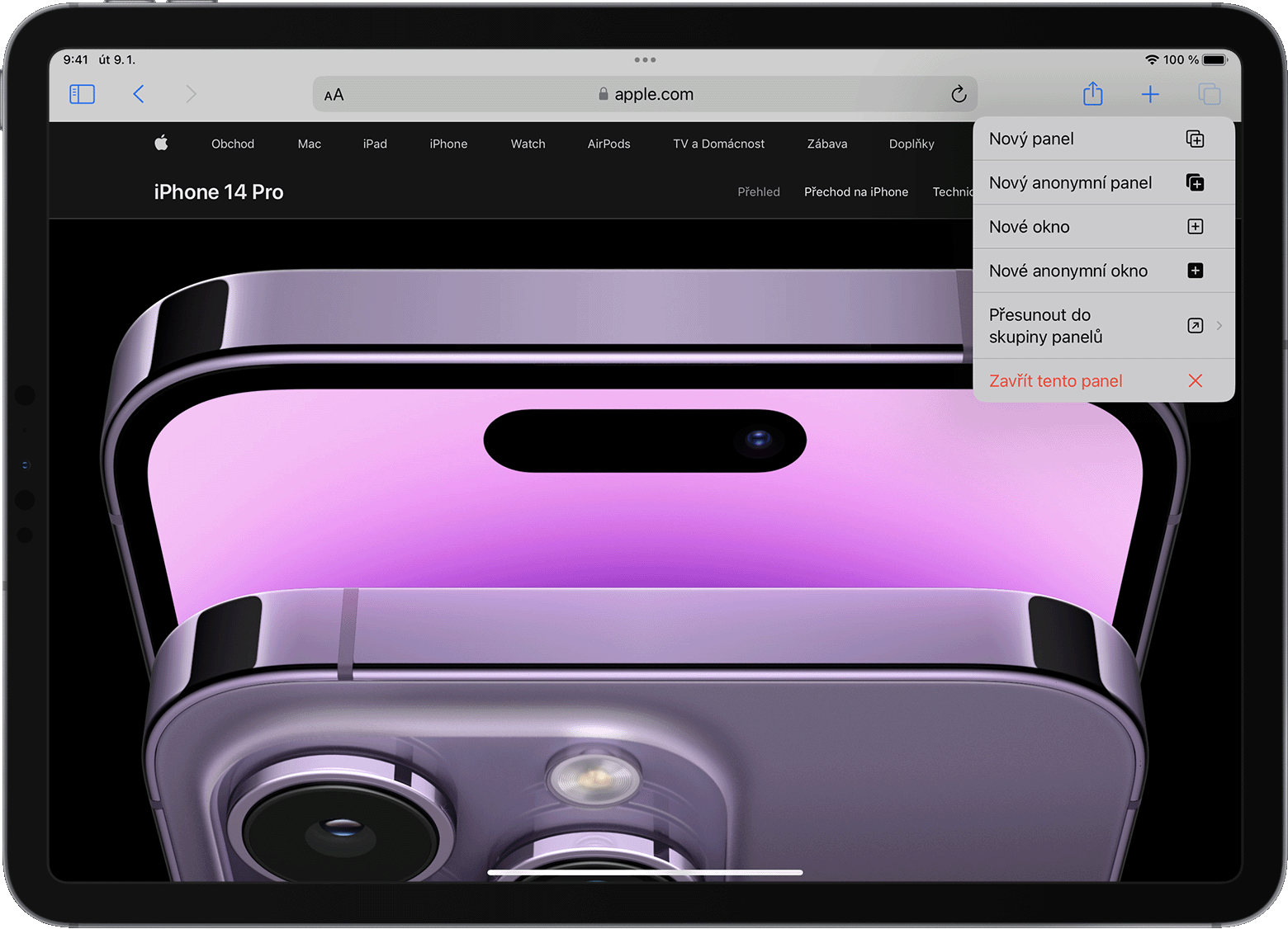 iPad s otevřenou nabídkou možností panelu Safari