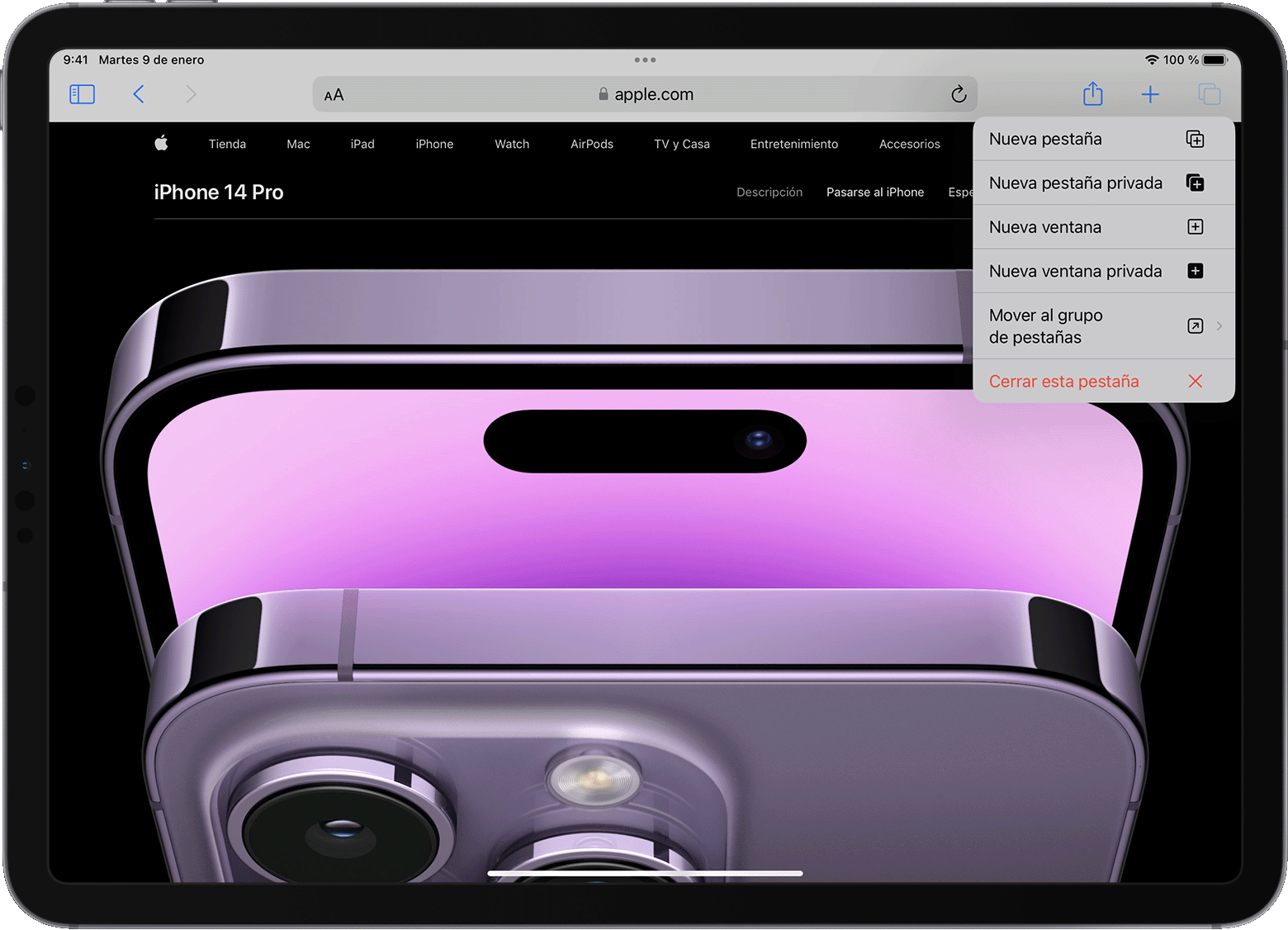 iPad con el menú de opciones de la pestaña Safari abierto