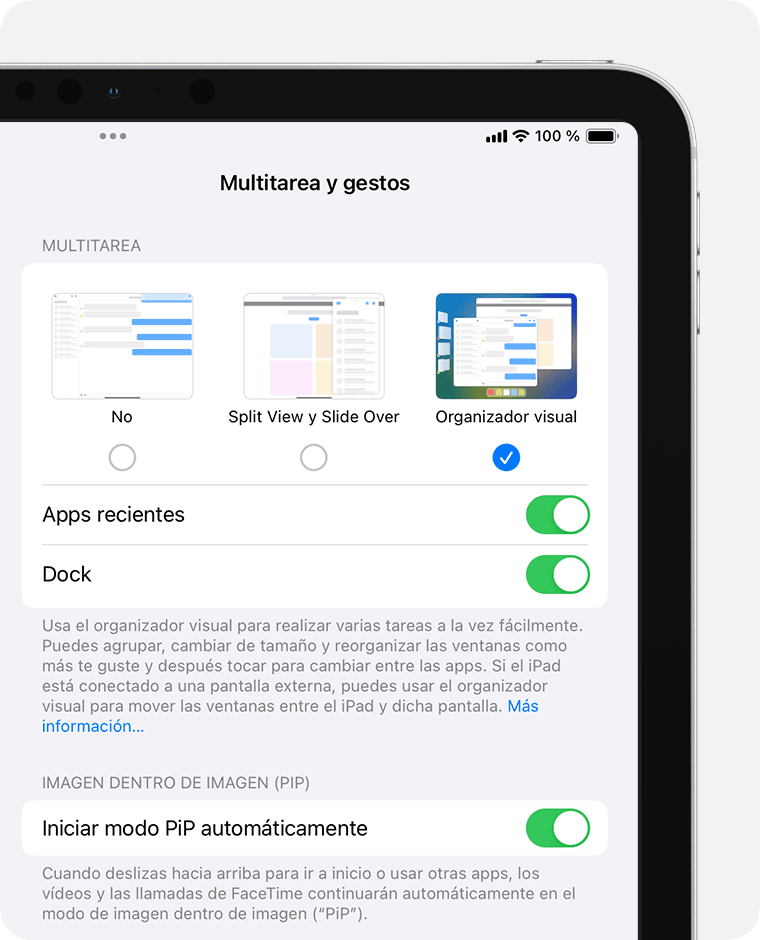 Un iPad que muestra los ajustes de Multitarea y gestos con Organizador visual seleccionado.