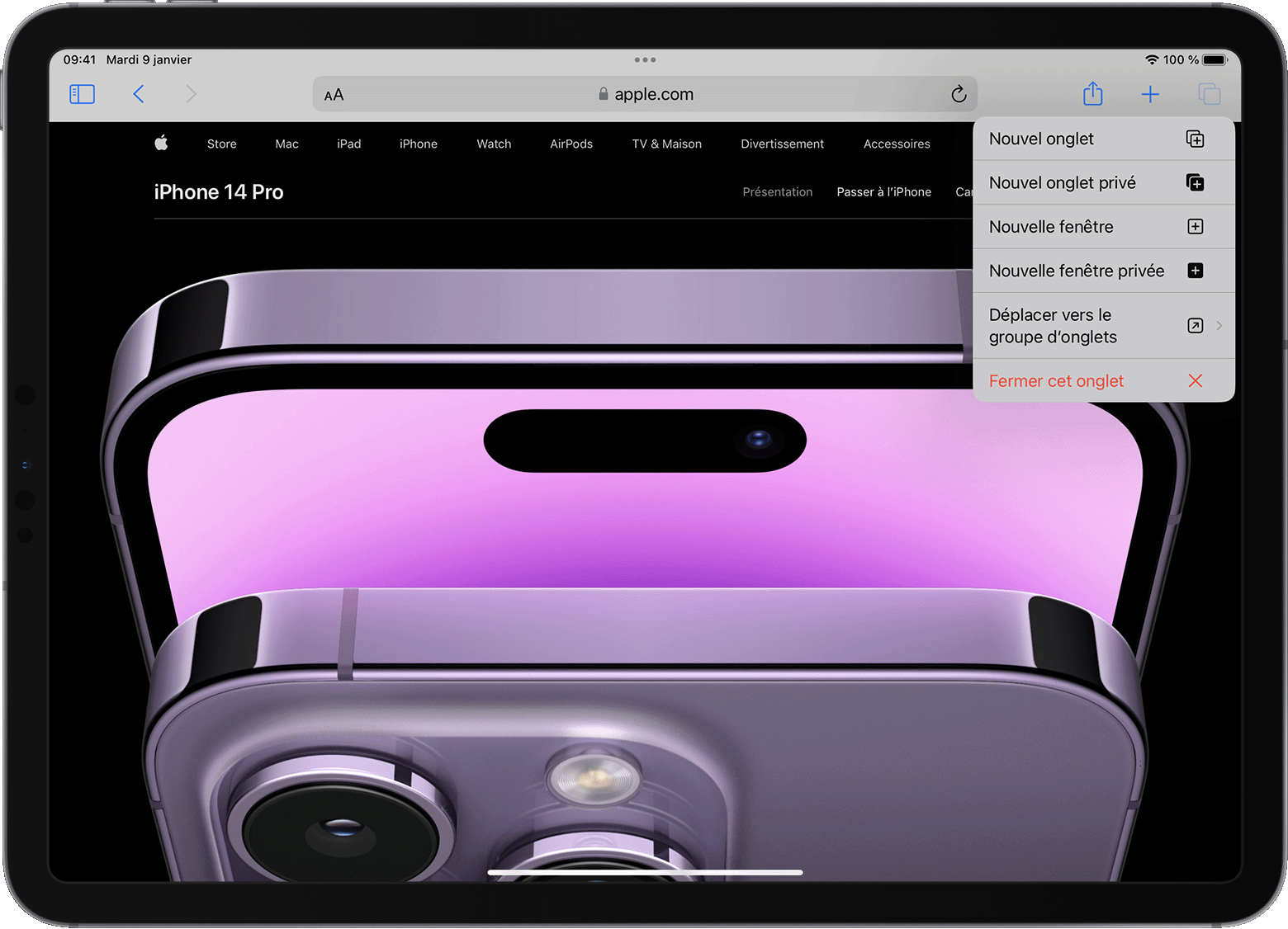iPad avec le menu des options de l’onglet Safari ouvert