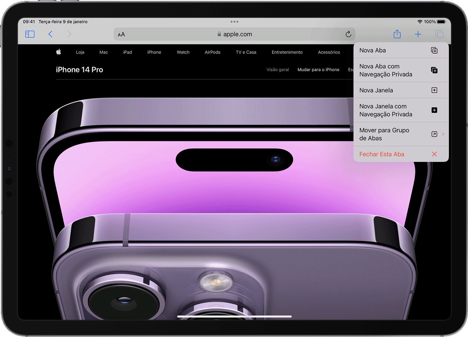 iPad com menu de opções da aba Safari aberto