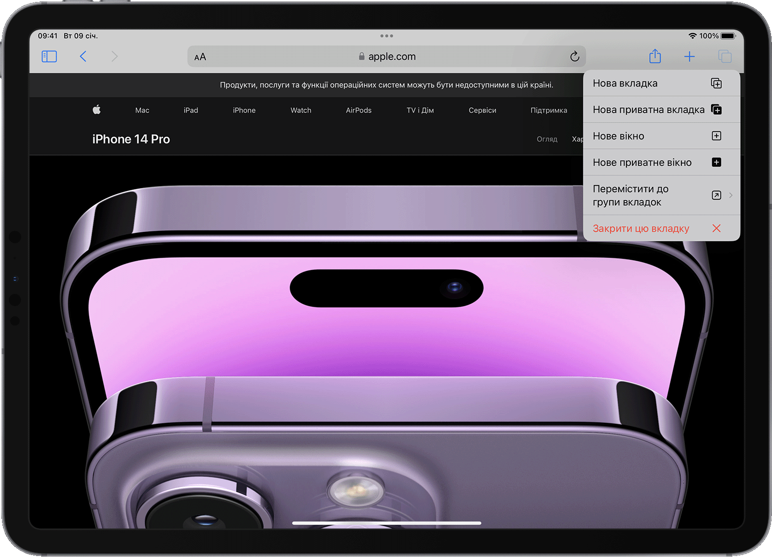 iPad із відкритим меню параметрів вкладки Safari