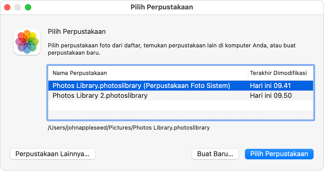 Jendela Pilih Perpustakaan pada app Foto macOS